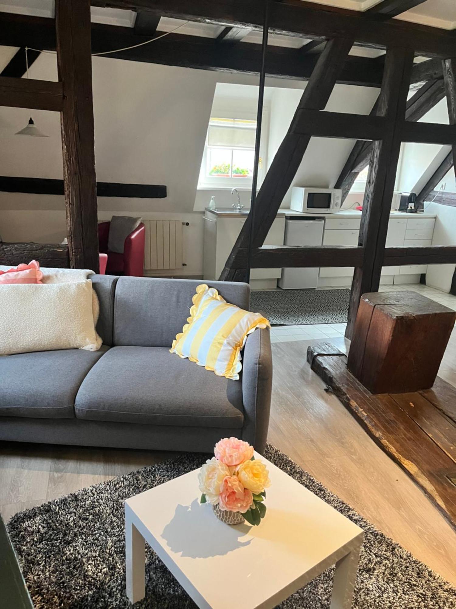Appartement Bastion De Riquewihr Eksteriør bilde